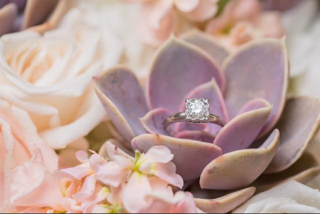 Lizbeth Rios Photography - 4