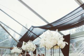 Haven Florals - 7