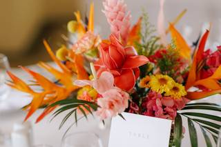 Hotel Playa Fiesta – A Wedding Groups Only Hotel - 8