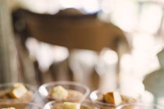 Spice Catering - 13