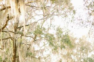 Ranch Wedding Events - 5