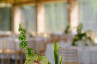 Luxury Floral - 6