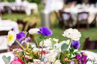 Pisarcik Greenhouses and Cut Flowers - 6