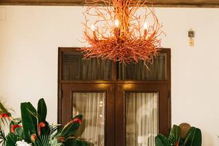 Runway Botanical - 10