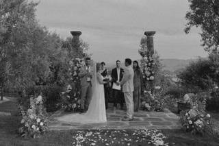 Daisy Weddings & Events - 8