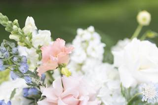 Flover - 11
