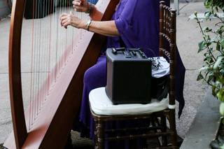 Magical Harps by Amy Lynn Kanner - 6