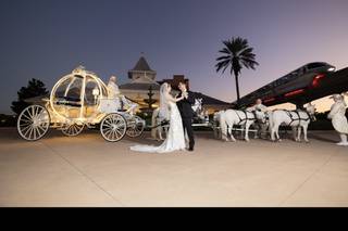 David and Vicki Arndt Photography - 5