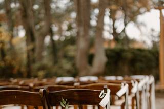Paperbird Photography - 7