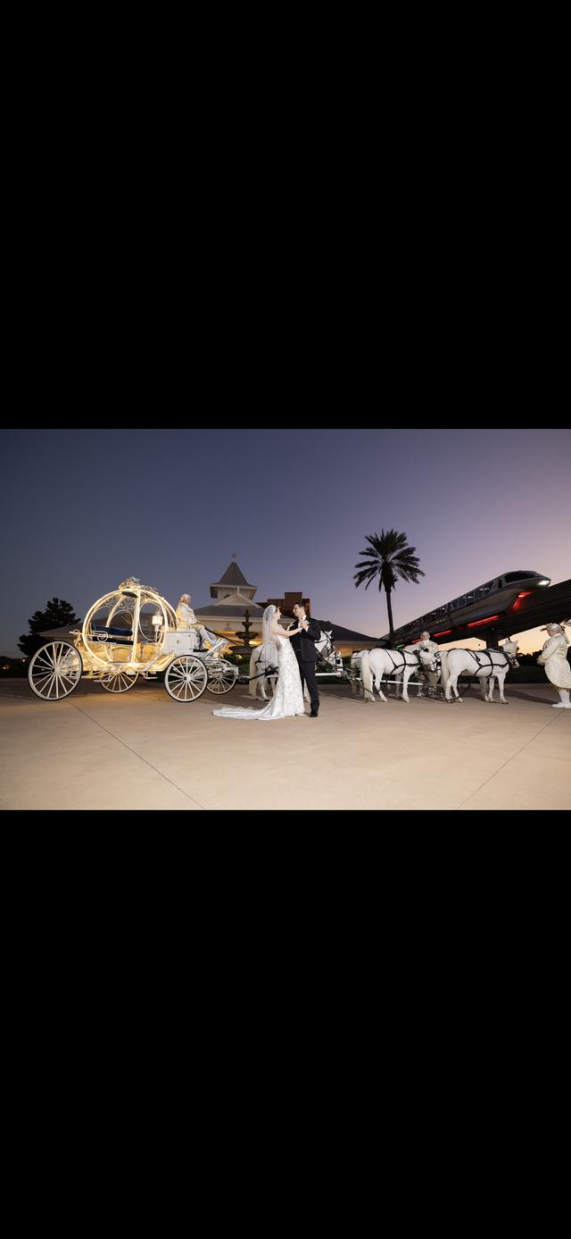 David and Vicki Arndt Photography - 2