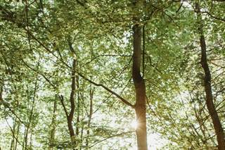 Shelly Pate Photography - 37