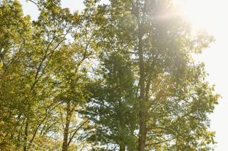 Leah Miessler Photography - 45