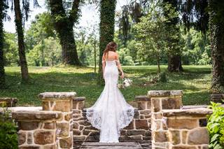 Rooted Image Photography - 80