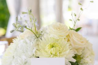 ABloom Studio One Twenty Three - 5