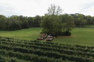 Wild Blackberry Farms - 17