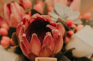 Gaia Flowers, Plants and Gifts - 3