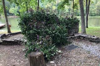 Roots Floral Design - 10