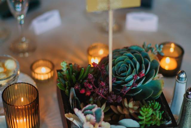 Julie Laflamme Photography 3