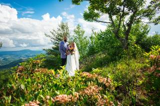 Cynthia Viola Photography - 10