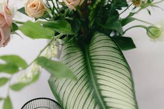 Rachel Thurston Photography - 6