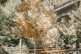 H & J Flowers - 6
