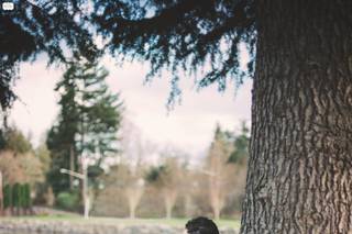 Whitney Baird Photography - 10