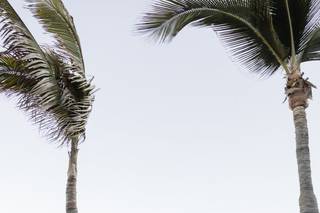 Cabo Wedding Services - 22
