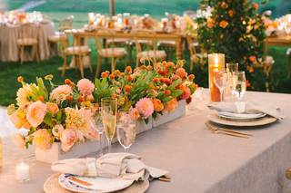 Mallory Joyce Design - 12