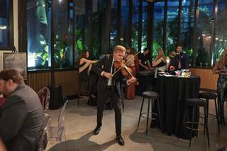 Ben Hoyt Violin - 7