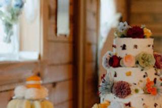 Panama City Cakes - 6