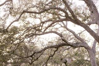 Cornelia Zaiss Photography - 17
