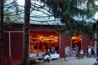 Mary Weirich Photography - 8