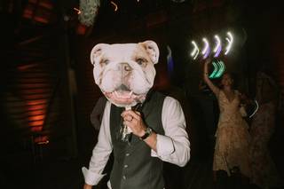 William Thomas Photography - 7