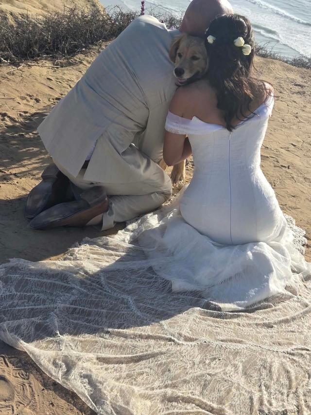 Cicada Bridal - 2