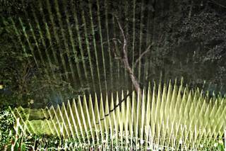 Laser Live Show Mx - 10