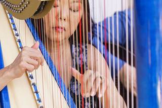 Harp Music By Vonette & Musical Networks - 8