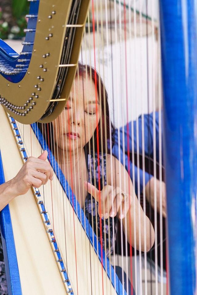 Harp Music By Vonette & Musical Networks - 3
