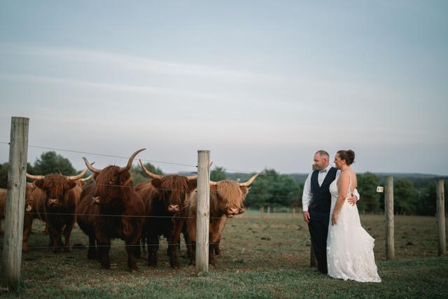 Tom Studios Wedding Photography - 3