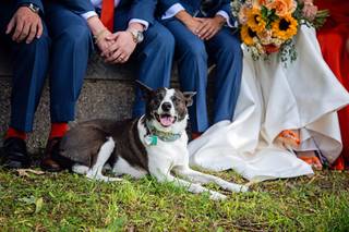 Peat Woods Photography - 6