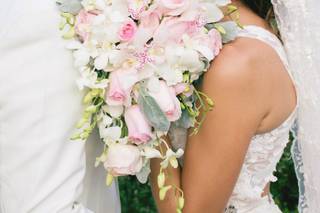 Encanto Photography - 8