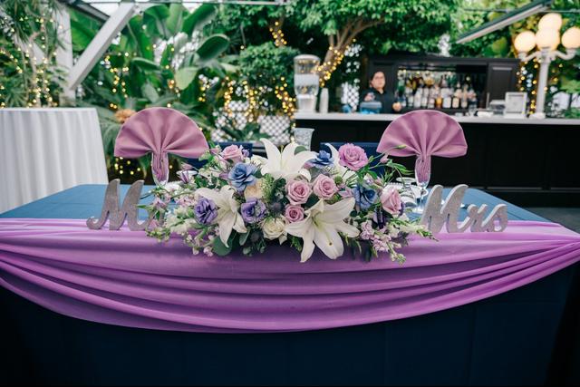 Purple Violet LLC - 3