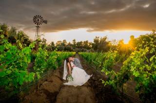 Brant Bender Photography - 15