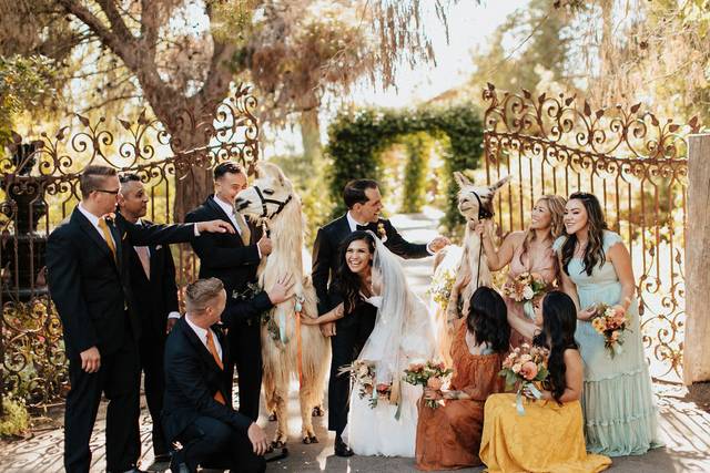 The Best Wedding For You 1
