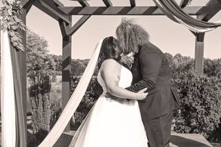 Stephanie Petersen Photography - 2