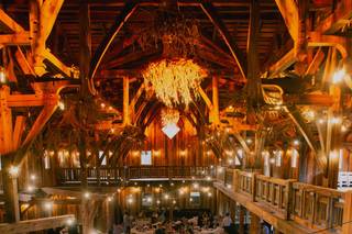 The Swan Barn Door - 10