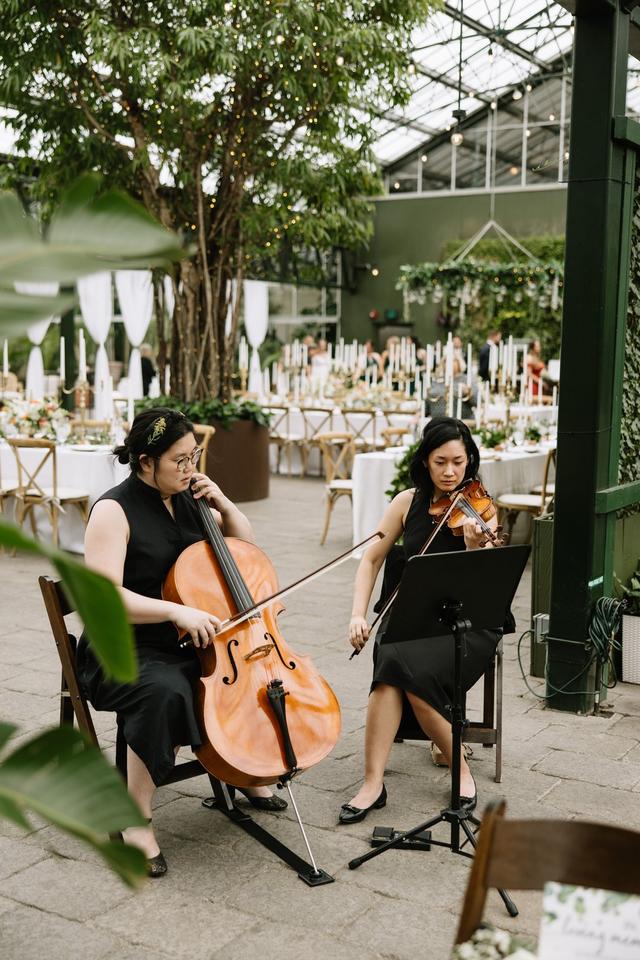 Colleen Wang Violinist - 4
