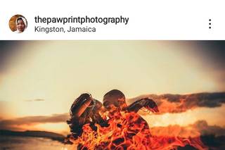 Paw Print Photography - 22