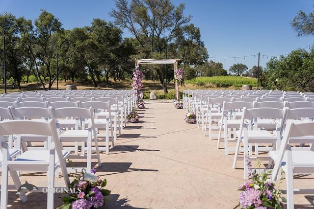 Miracle Chuppah - 3