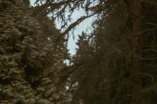 Dana Kae Photography - 15