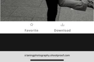 Laning Photography - 6